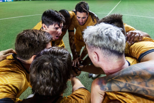 他们需要参 他们需要参